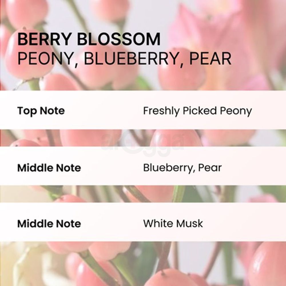 Nesh Airy Texture Hair Wax Brush Set for Women 50ml  