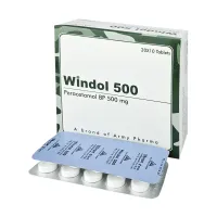 Windol 500mg Tablet