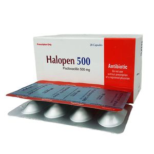 Halopen 500mg Capsule