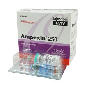 Ampexin IV/IM 250mg/vial Injection