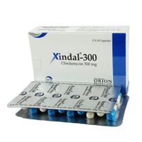 Xindal 300mg Capsule