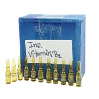 Vitamin B1 25mg/ml Injection