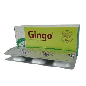 Gingo 60mg Capsule