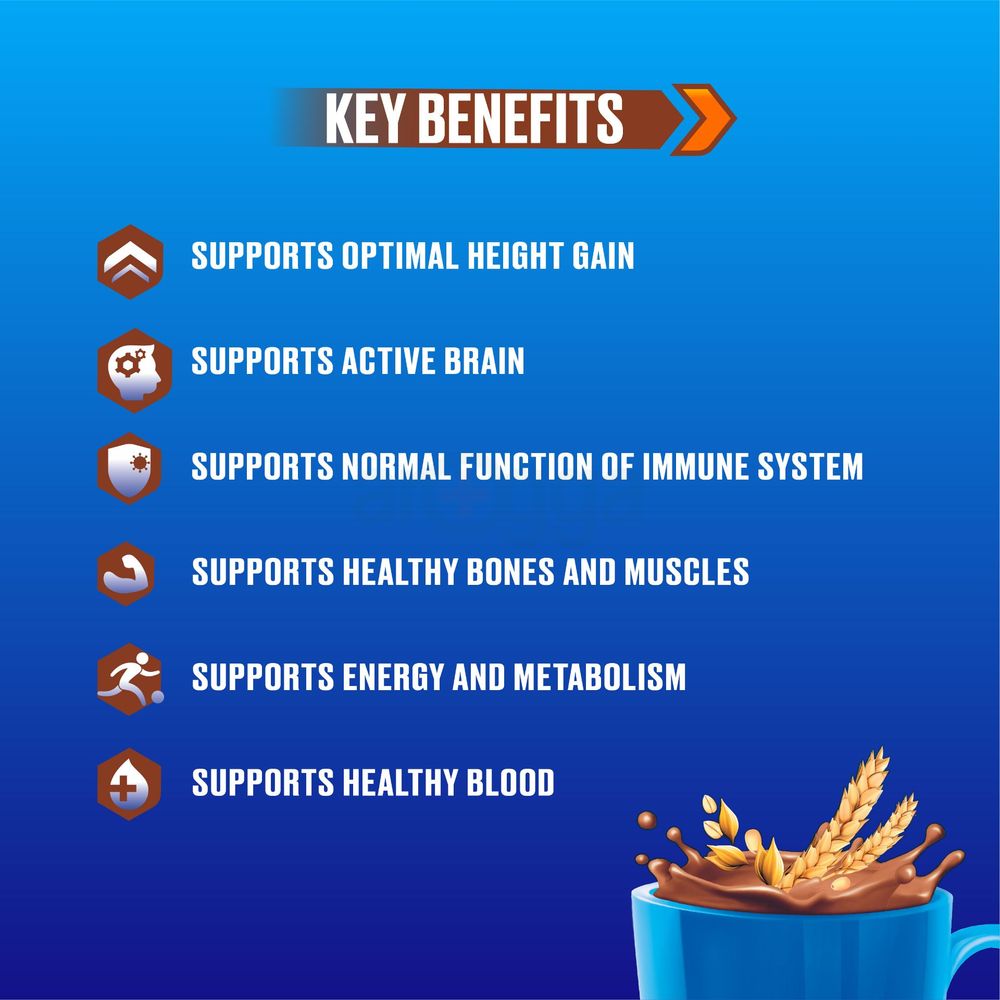 Horlicks Chocolate Flavour Jar 500g  