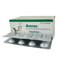 Anros 500mg Capsule
