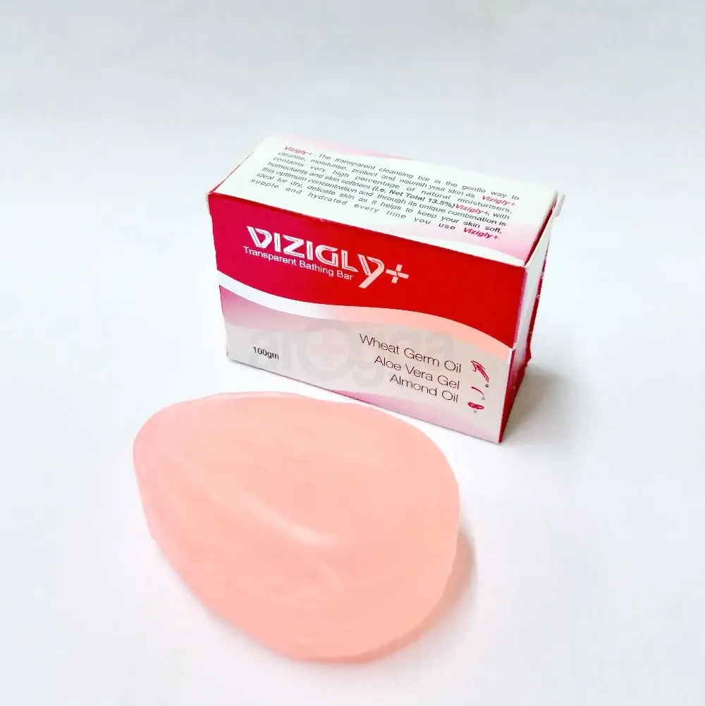 Vizigly Soap 100gm soap