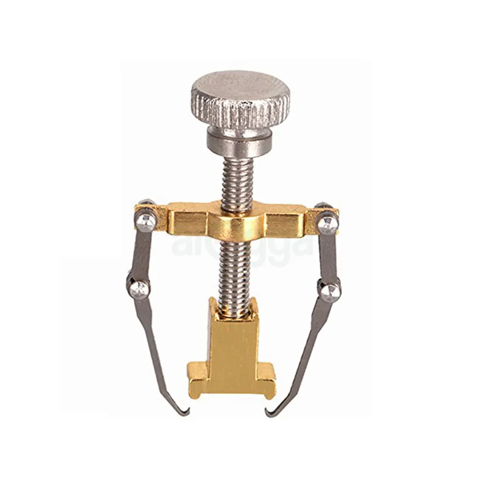 New Pro Ingrown Toe Nail Recover Toenail Correction Pedicure Fixer  