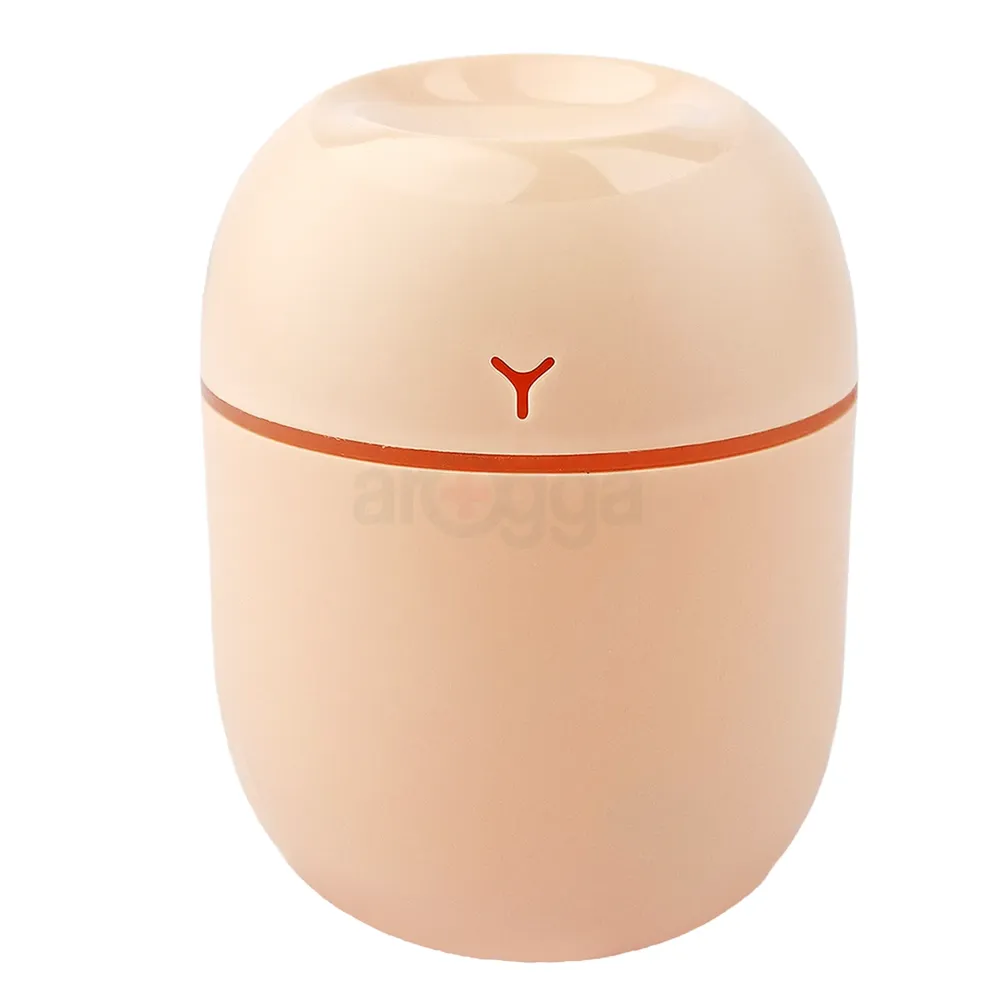 USB Colorful Humidifier Mini 260ml  