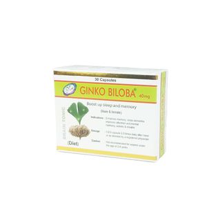 Ginko Biloba  