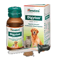 Veterinary