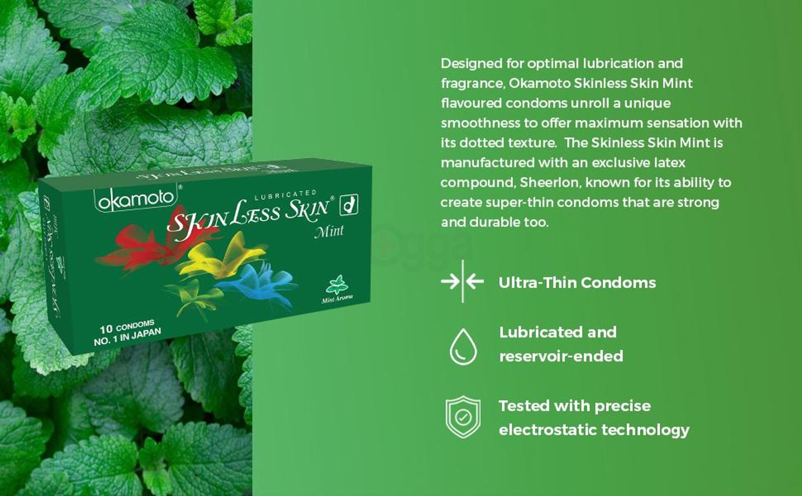 Mint Flavoured Condom