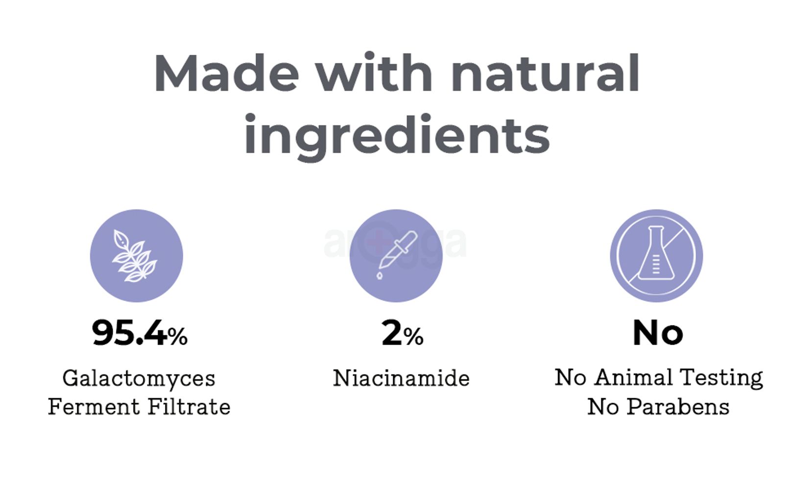 Galactomyces_content3