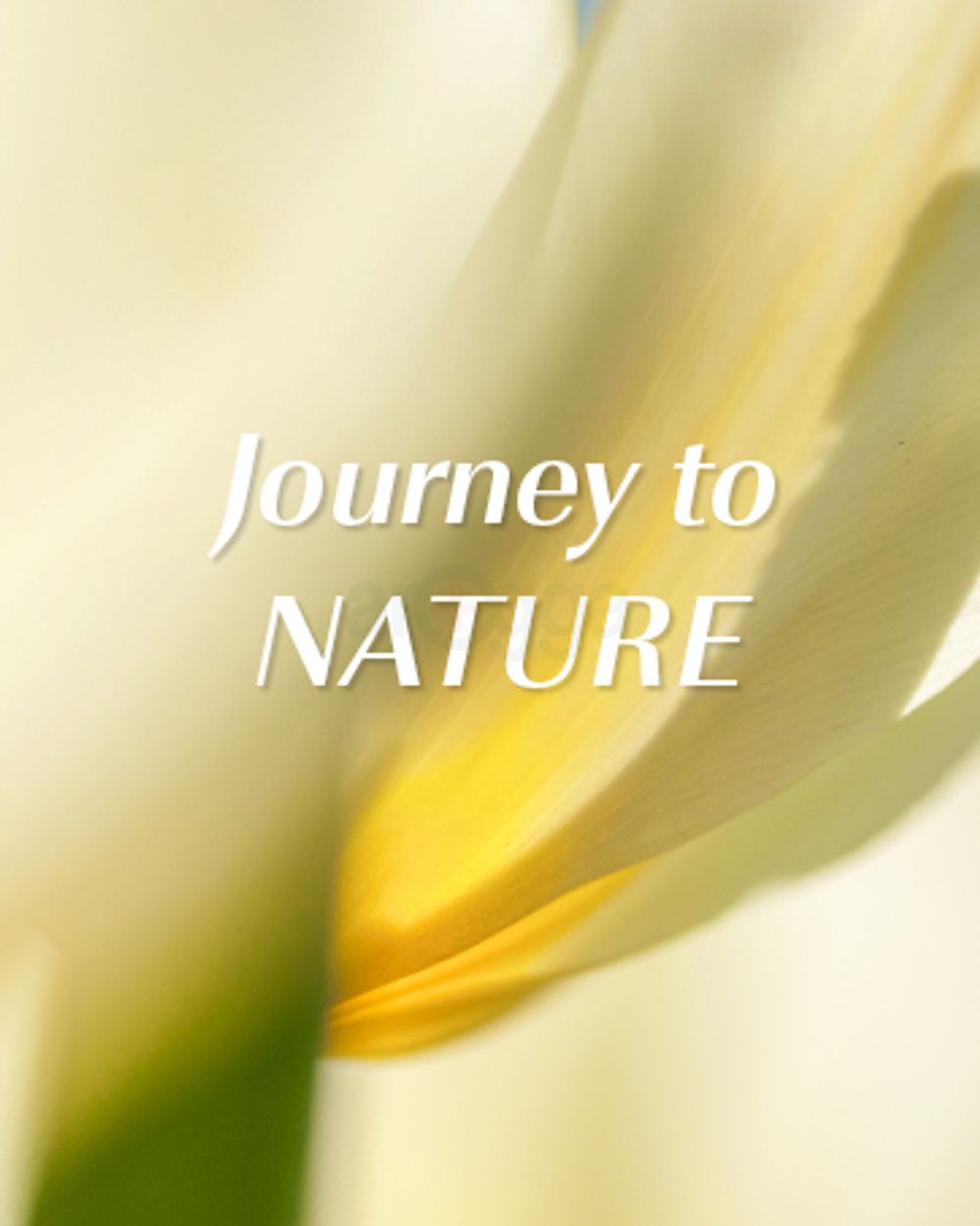 NatureRepublic, Journey to Nature