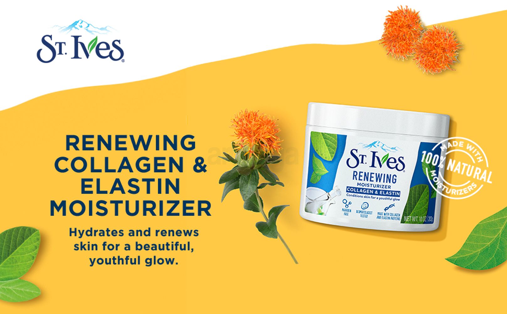 St. Ives Renewing Collagen And Elastin Face Moisturizer With Ingredients