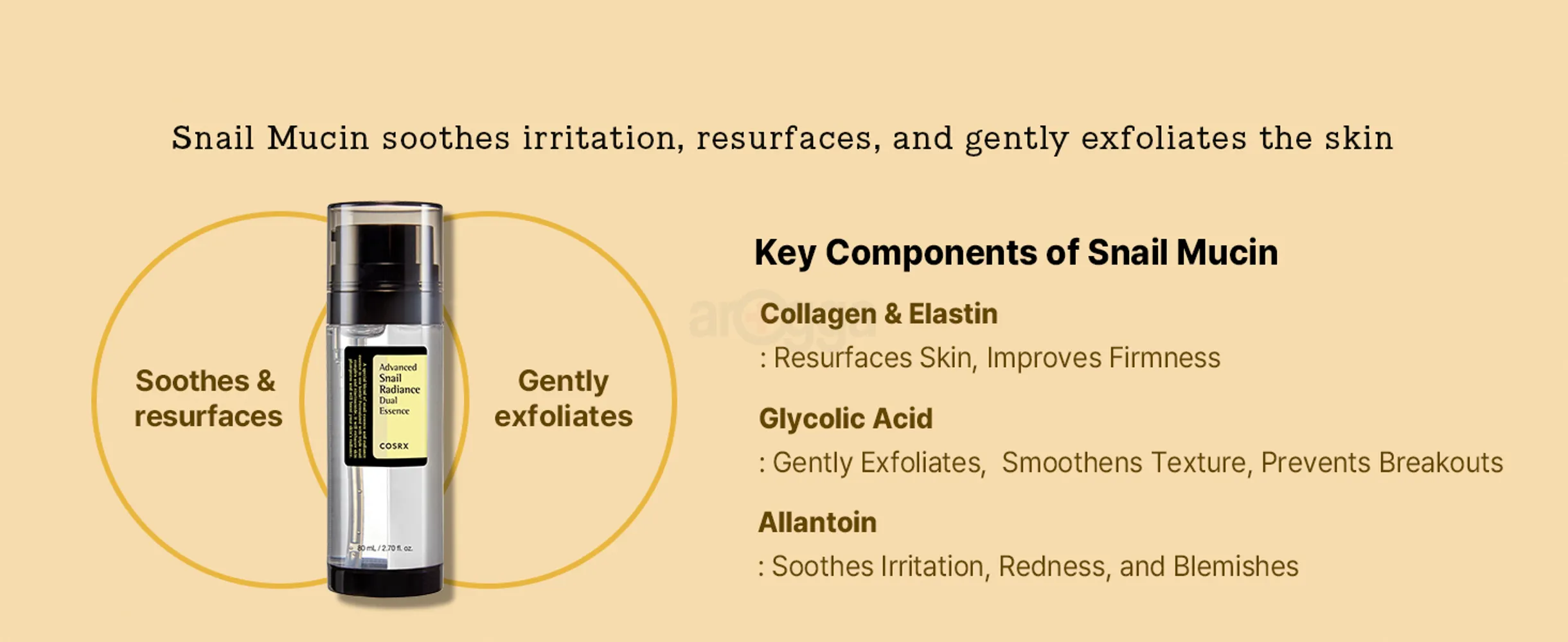 soothe irritation resurface gently exfoliate snail mucin collagen elastin clycolic acid allantoin
