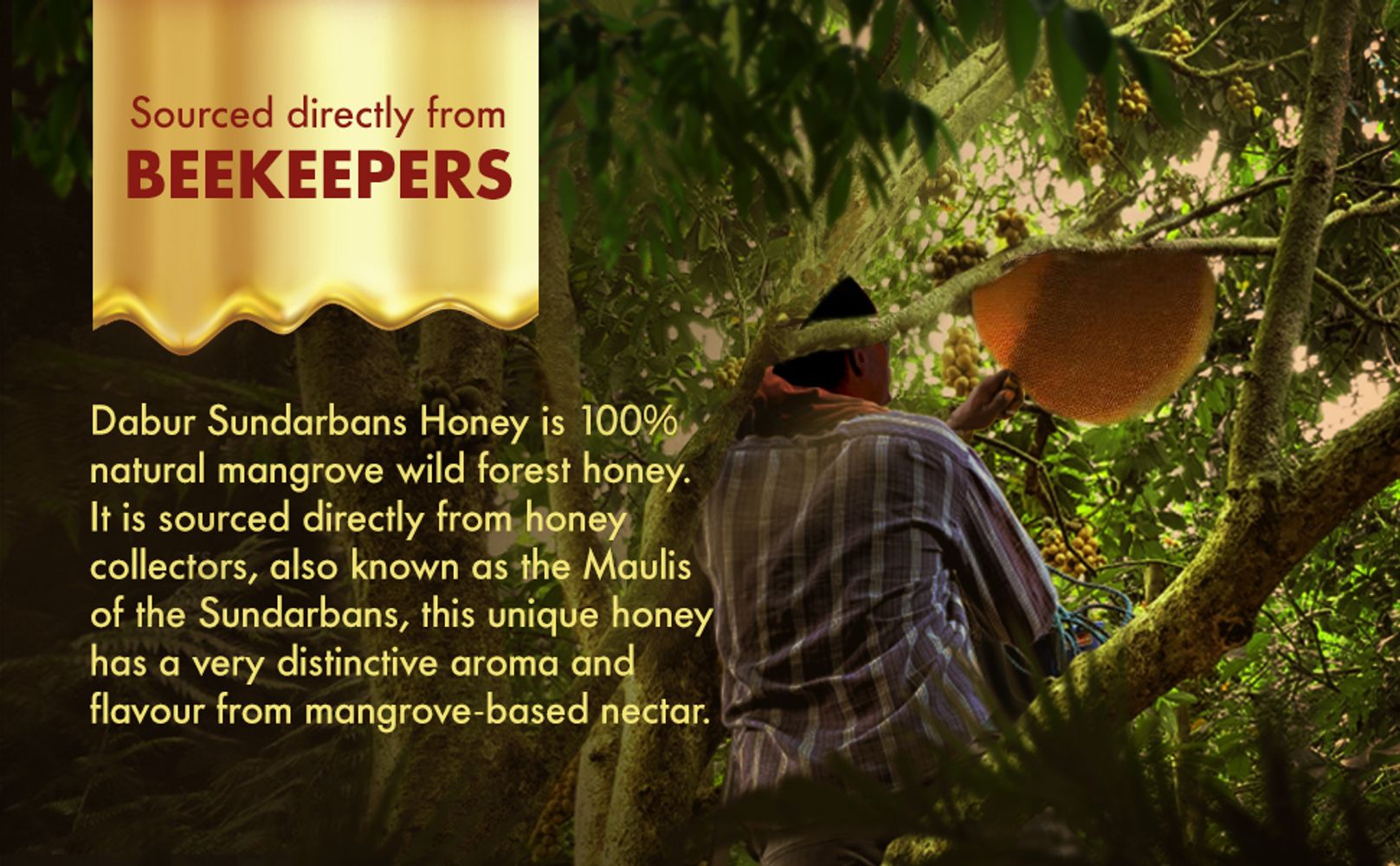 Honey; Wildforest Honey; Forest Honey; Raw Honey; Pure Honey; Original Honey; Dabur Honey