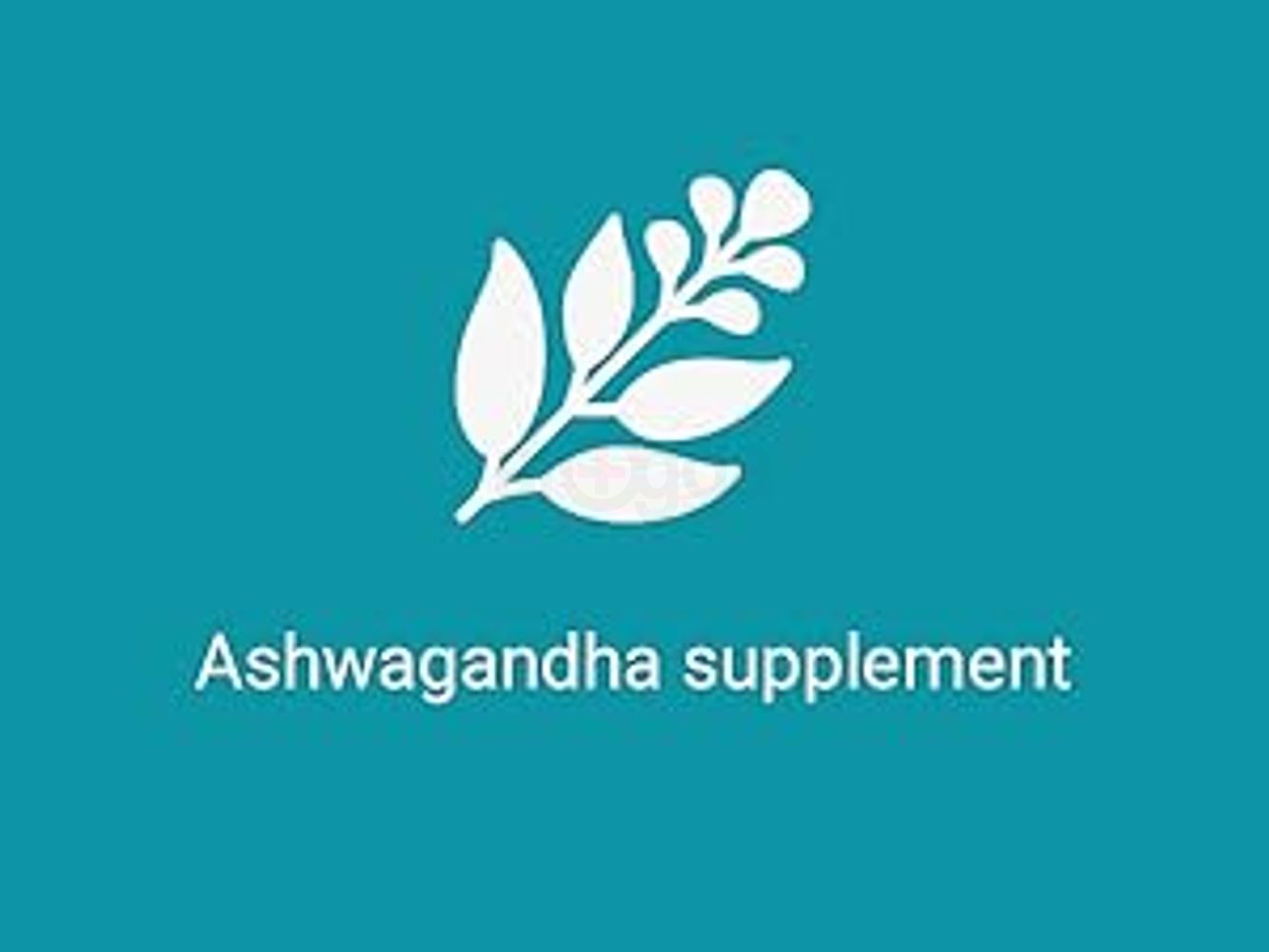 adaptogenic  vitamin  nootropics  men  usa  fog  ashwaganda  adults  manager