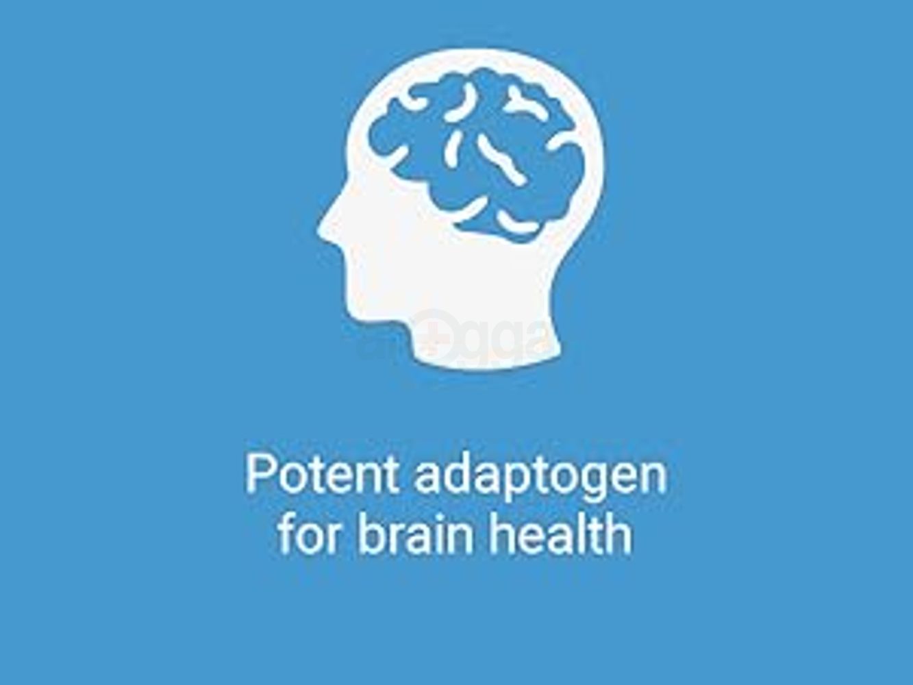 calm  leaves  capsule  balance  ashwaghanda  relaxation  extra  strength  aswangdha  estres