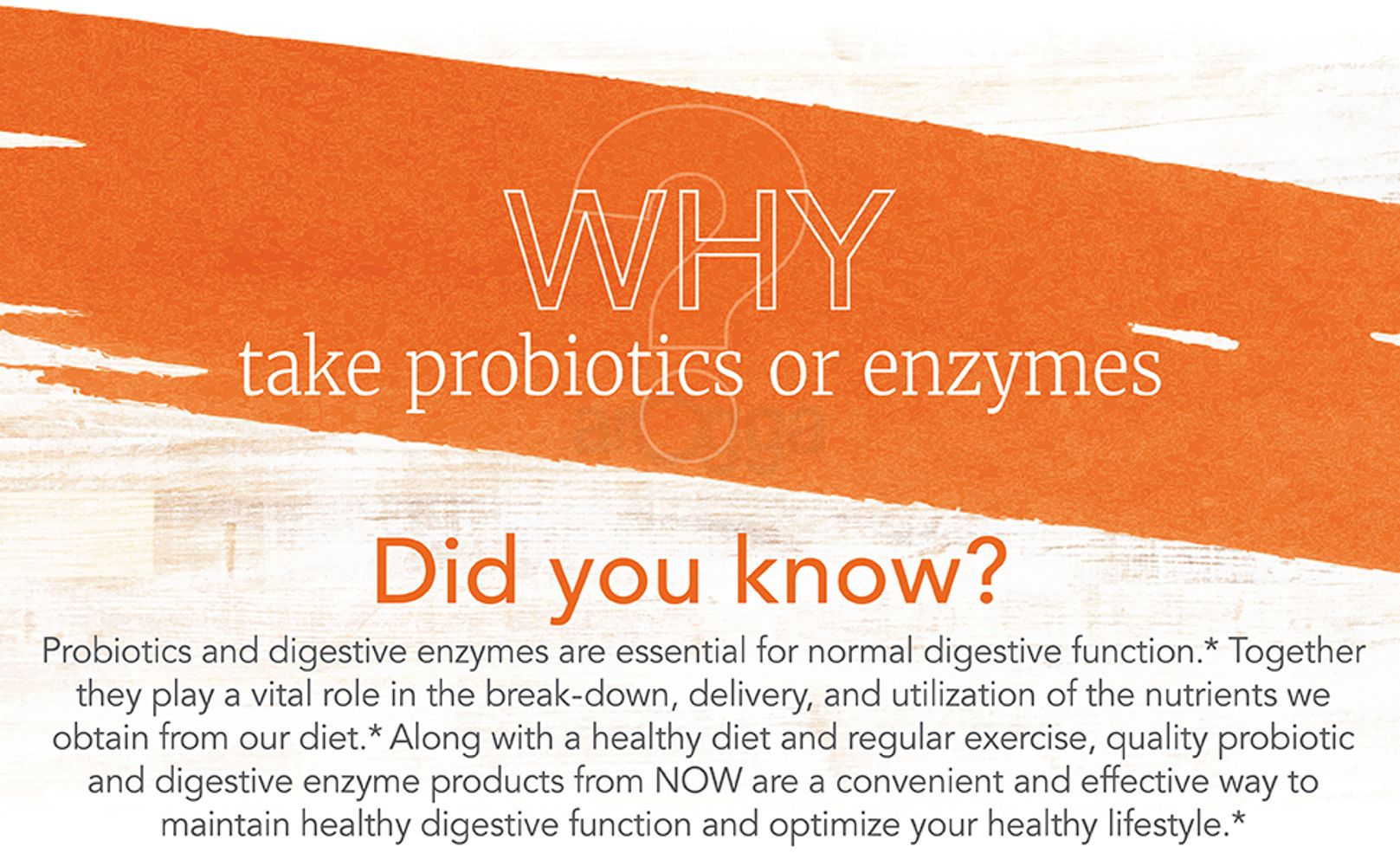 probiotics enzymes digestive vital effective quality diet healthy regular lifestyle nutrients