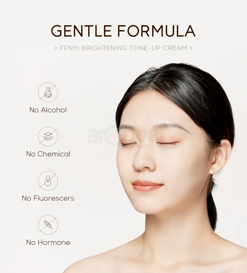 Fenyi Brightening Tone Up Cream 2Gm - 20Pcs