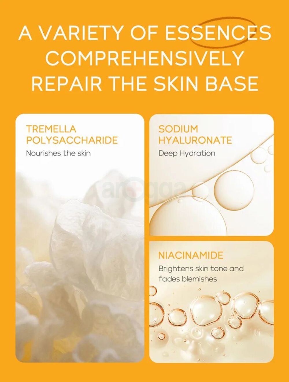 eyJidWNrZXQiOiJhcm9nZ2EiLCJrZXkiOiJtZWRpY2luZURlc2NyaXB0aW9uXC81NVwvNTUzMDMtNzNlaXczYWl4ZHE0Yi5qcGVnIiwiZWRpdHMiOltdfQ==