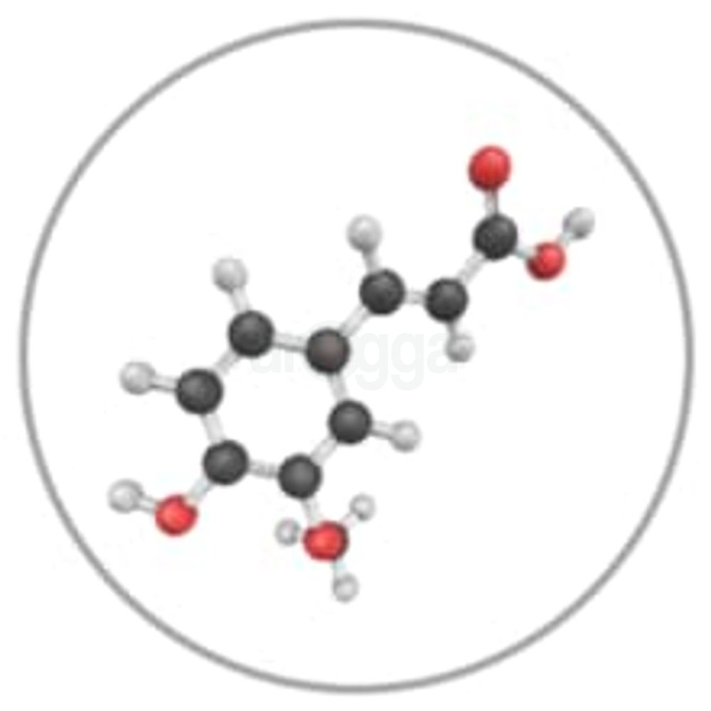 Ferulic Acid