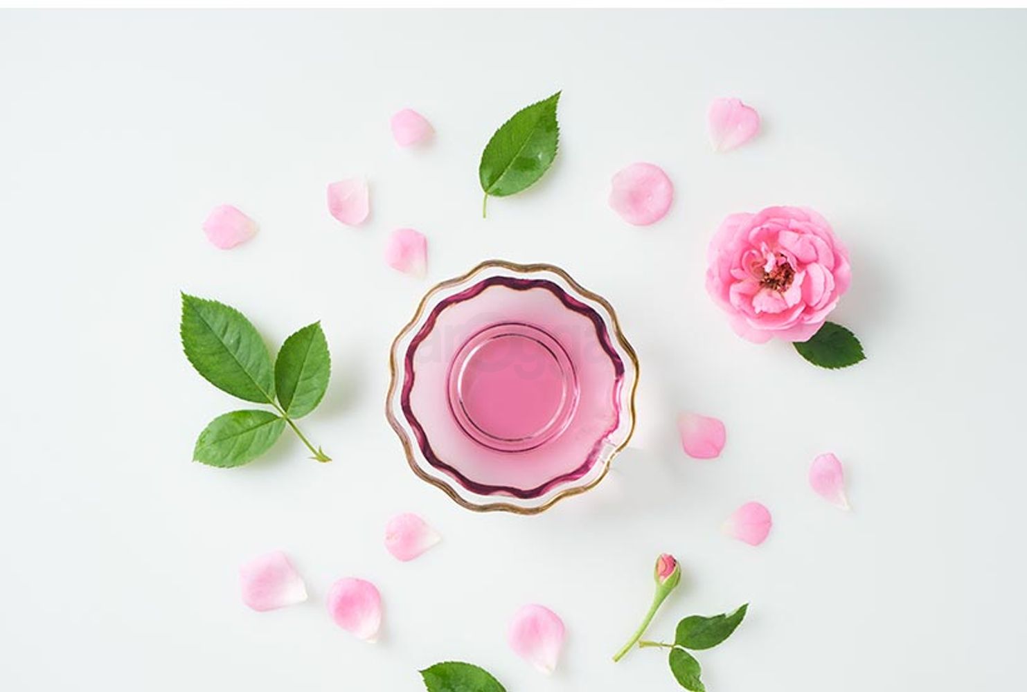 eyJidWNrZXQiOiJhcm9nZ2EiLCJrZXkiOiJtZWRpY2luZURlc2NyaXB0aW9uXC81OFwvNTgxMDctMW5oOXN2cWRudzEydi5qcGVnIiwiZWRpdHMiOltdfQ==