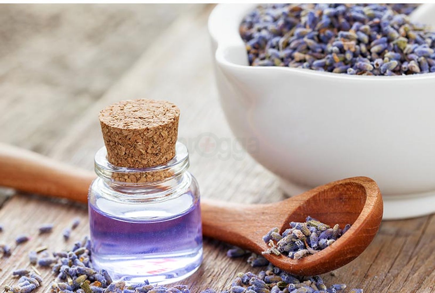 eyJidWNrZXQiOiJhcm9nZ2EiLCJrZXkiOiJtZWRpY2luZURlc2NyaXB0aW9uXC81OFwvNTgxMTMtMW5mazc4MW12aXM4aS5qcGVnIiwiZWRpdHMiOltdfQ==