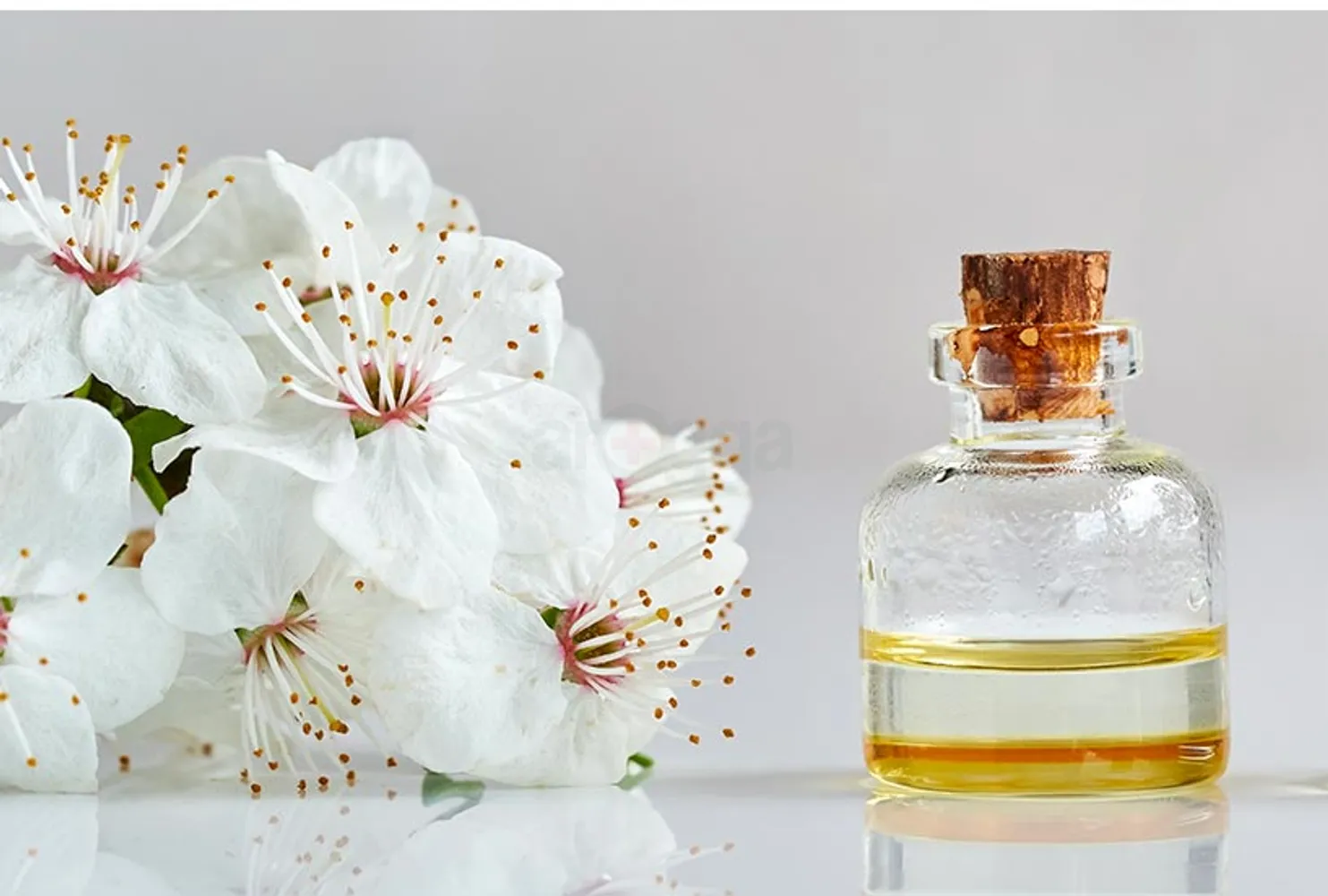 eyJidWNrZXQiOiJhcm9nZ2EiLCJrZXkiOiJtZWRpY2luZURlc2NyaXB0aW9uXC81OFwvNTgxMTctMTVsamw1NDgyN3Y1Zi5qcGVnIiwiZWRpdHMiOltdfQ==