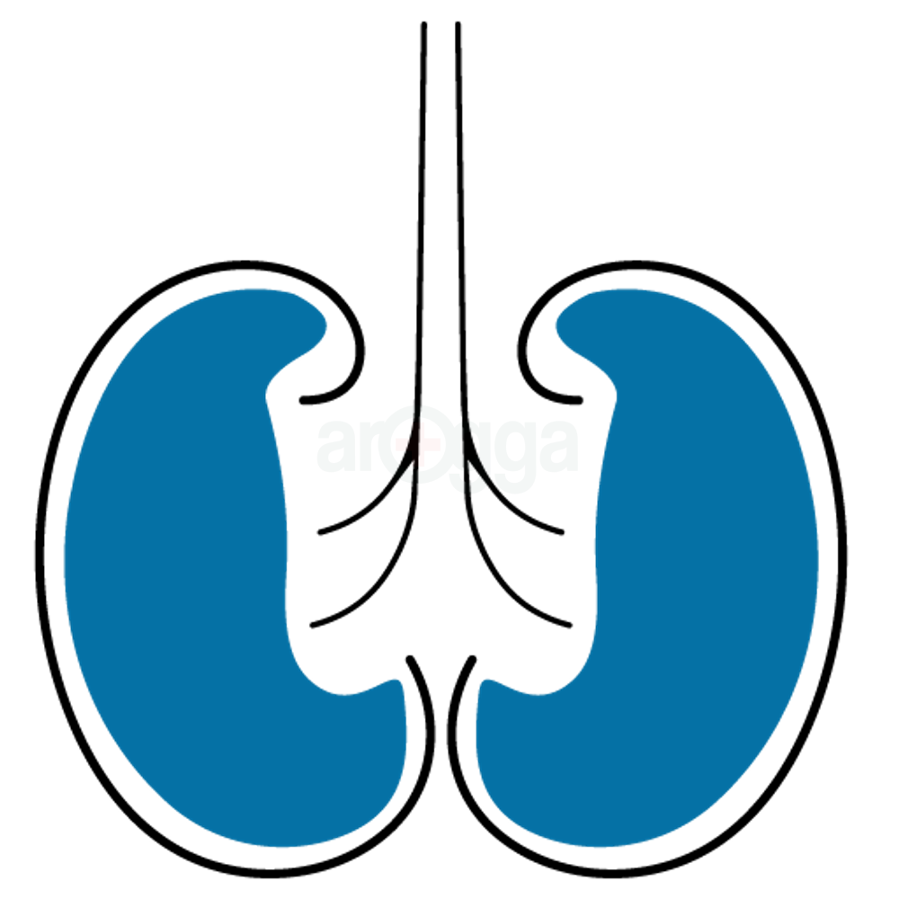 eyJidWNrZXQiOiJhcm9nZ2EiLCJrZXkiOiJtZWRpY2luZURlc2NyaXB0aW9uXC81OVwvNTk1NzItNGZvemswdzgxbnR5Zy5wbmciLCJlZGl0cyI6W119