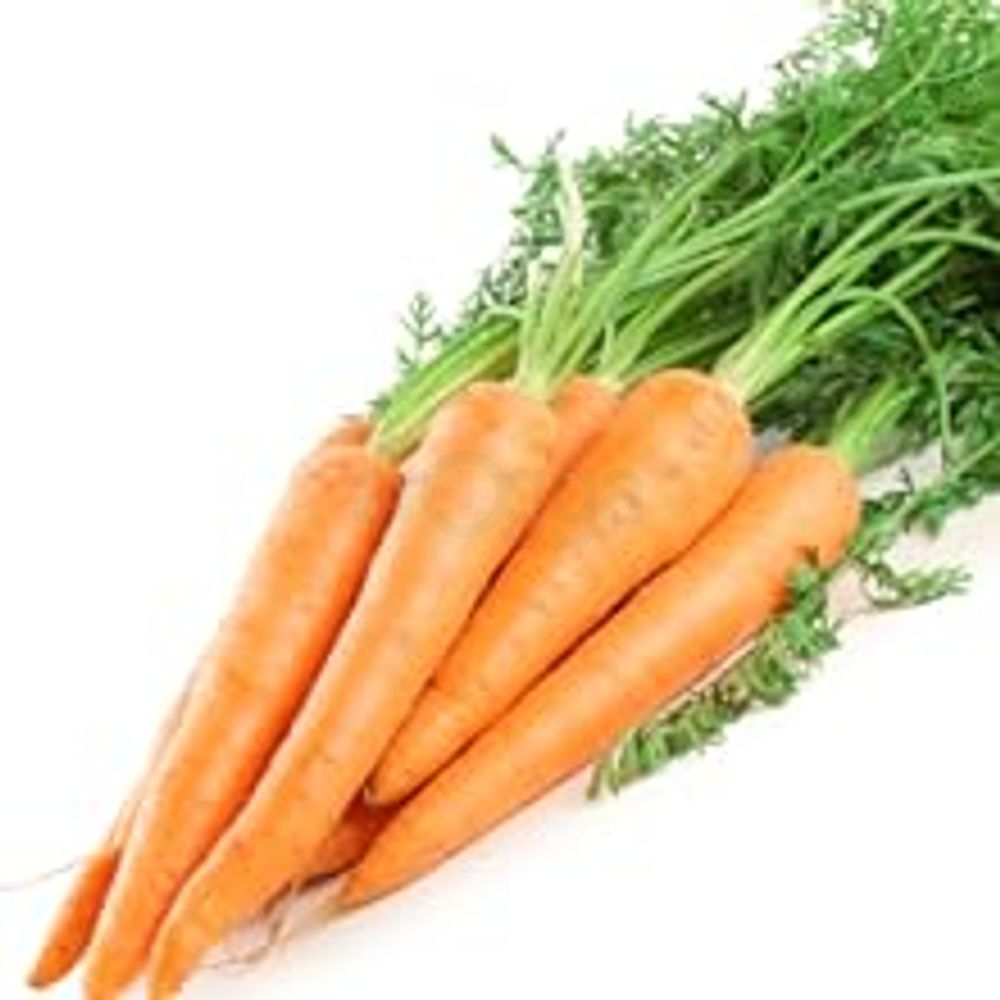 Carrot Root