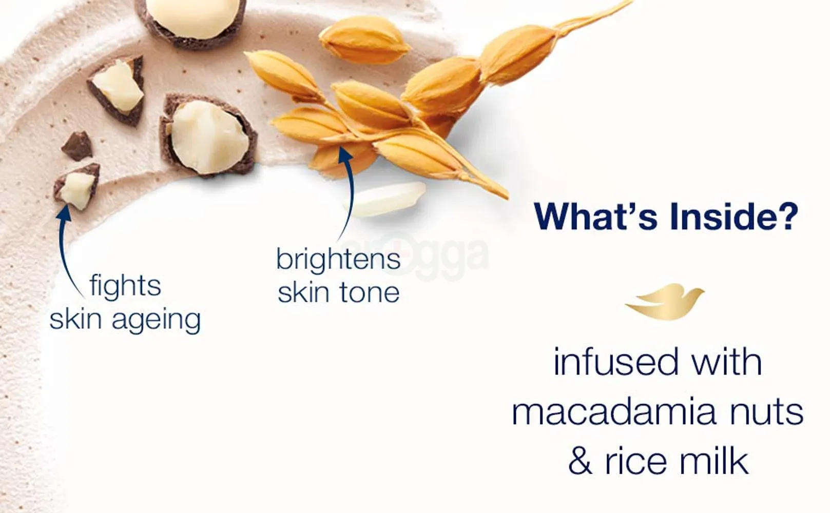 eyJidWNrZXQiOiJhcm9nZ2EiLCJrZXkiOiJtZWRpY2luZURlc2NyaXB0aW9uXC82MlwvNjIzNjQtMXZhODFidXNvY2FlYi5qcGVnIiwiZWRpdHMiOltdfQ==