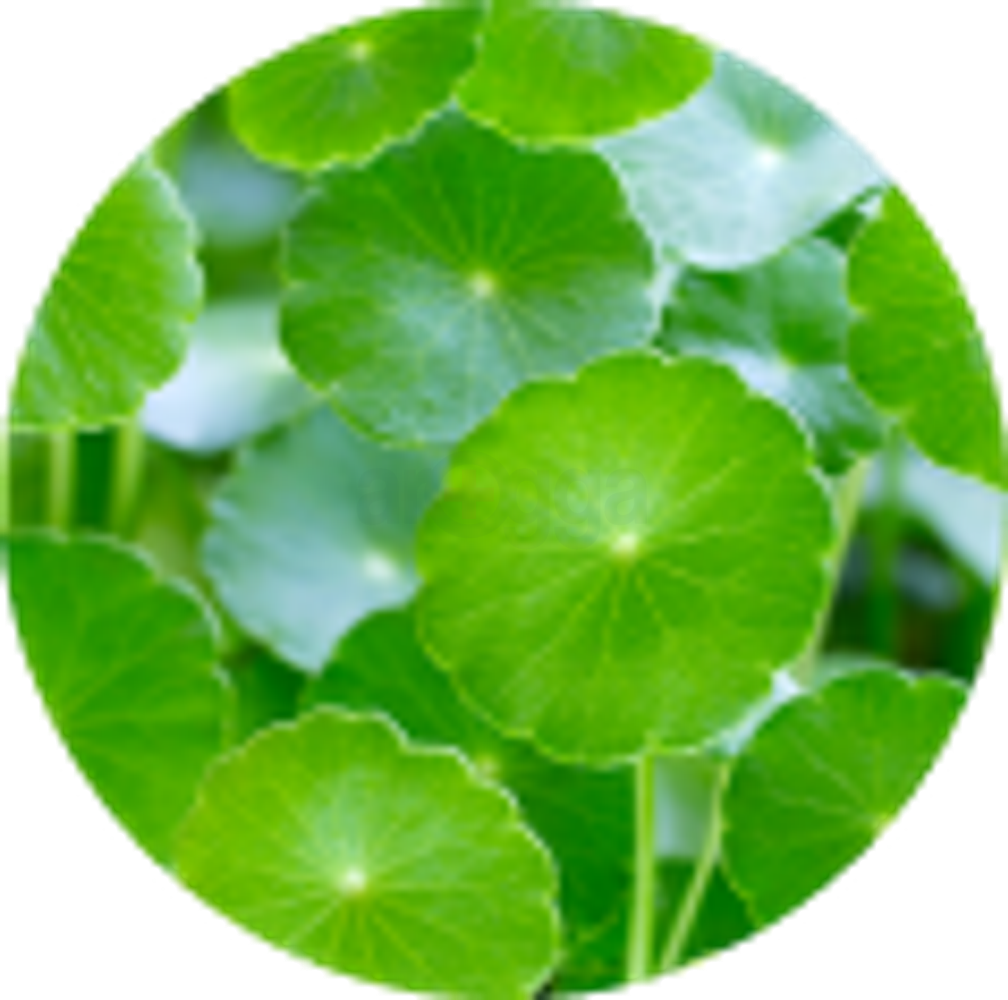 eyJidWNrZXQiOiJhcm9nZ2EiLCJrZXkiOiJtZWRpY2luZURlc2NyaXB0aW9uXC82N1wvNjc4MjItMGtkbHZ3dW40ejYxdy5wbmciLCJlZGl0cyI6W119