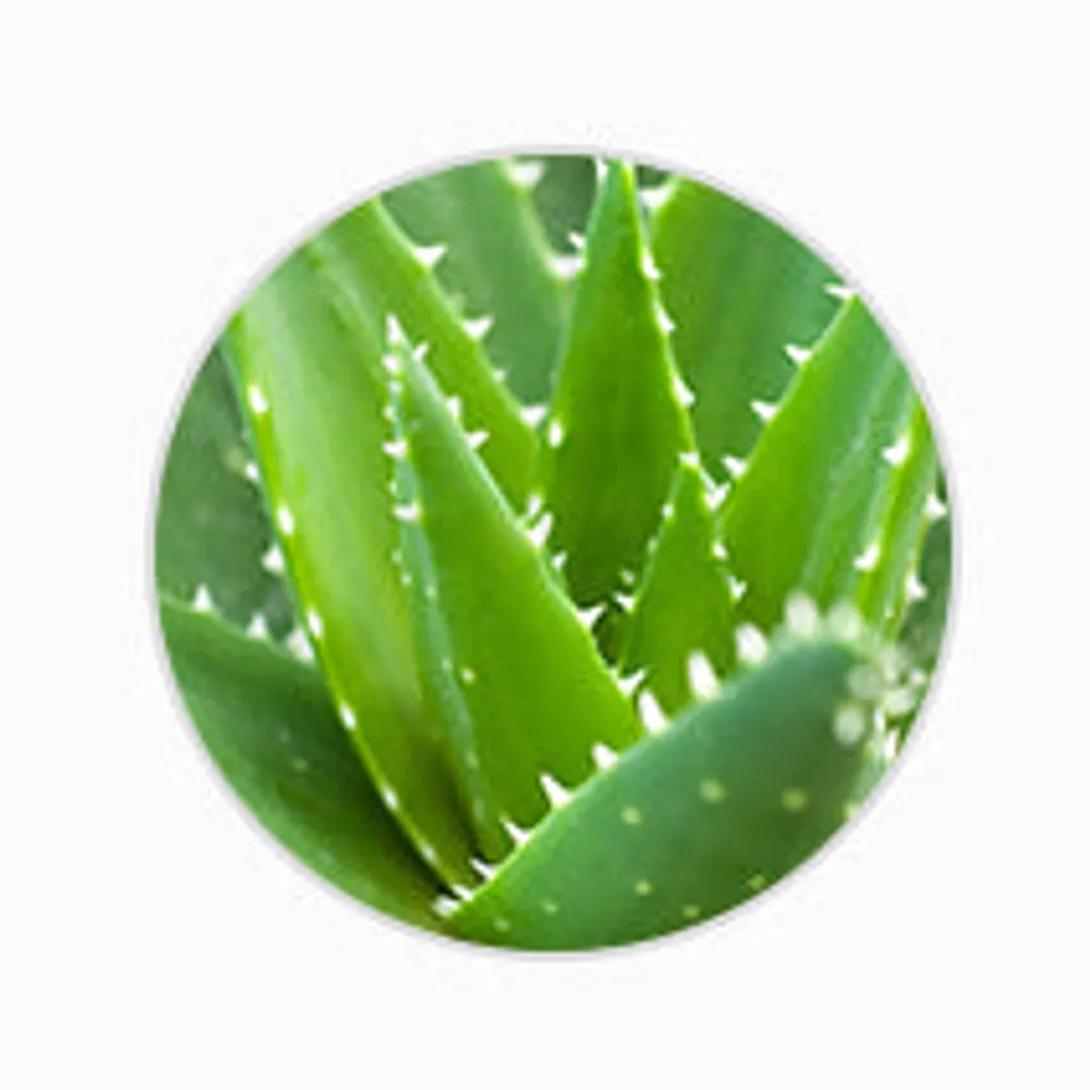 MISSHA All Around Safe Block Essence Sun SPF45/PA+++ Ingredient