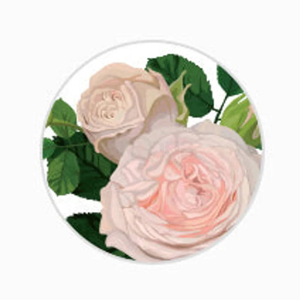 MISSHA All Around Safe Block Essence Sun SPF45/PA+++ Ingredient