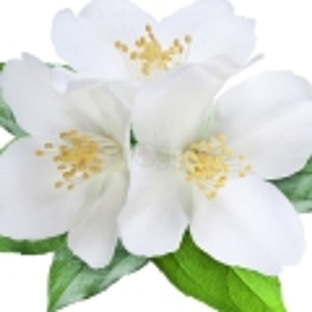 eyJidWNrZXQiOiJhcm9nZ2EiLCJrZXkiOiJtZWRpY2luZURlc2NyaXB0aW9uXC82OFwvNjgxOTEtMHNzazd1aWgwdXQ0NC5qcGVnIiwiZWRpdHMiOltdfQ==