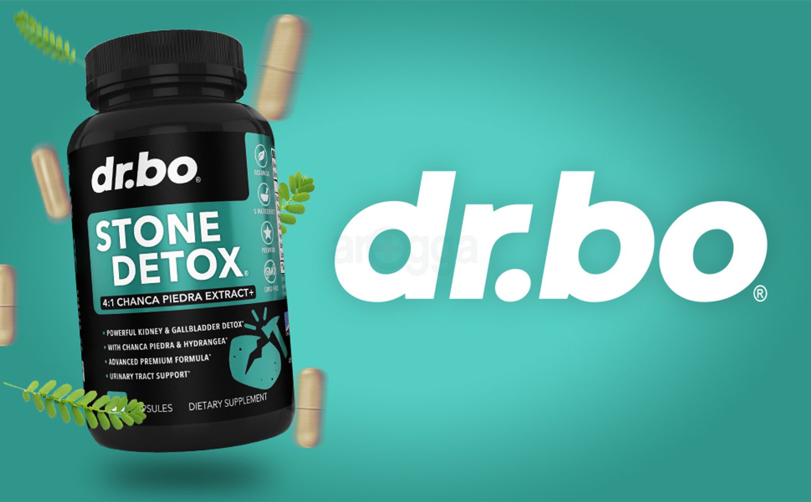 stone breaker chanca piedra capsules kidney cleanse detox gallbladder formula hydrangea root natural