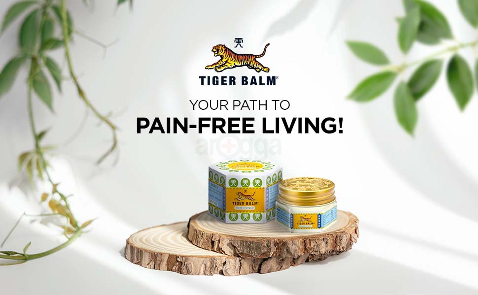 Tiger Balm White Ointment