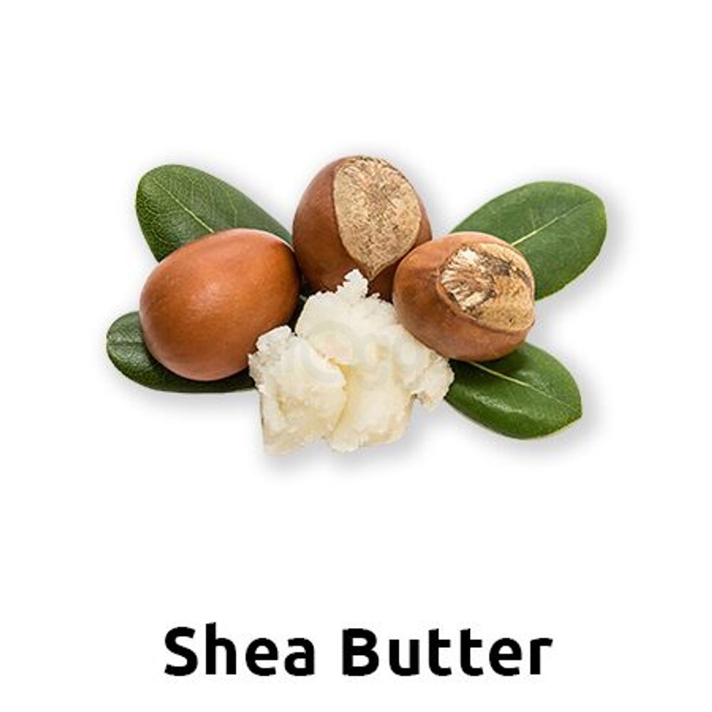 eyJidWNrZXQiOiJhcm9nZ2EiLCJrZXkiOiJtZWRpY2luZURlc2NyaXB0aW9uXC83MlwvNzIyMjMtOTFxeGJ4cm8yZ2lpcy5qcGVnIiwiZWRpdHMiOltdfQ==