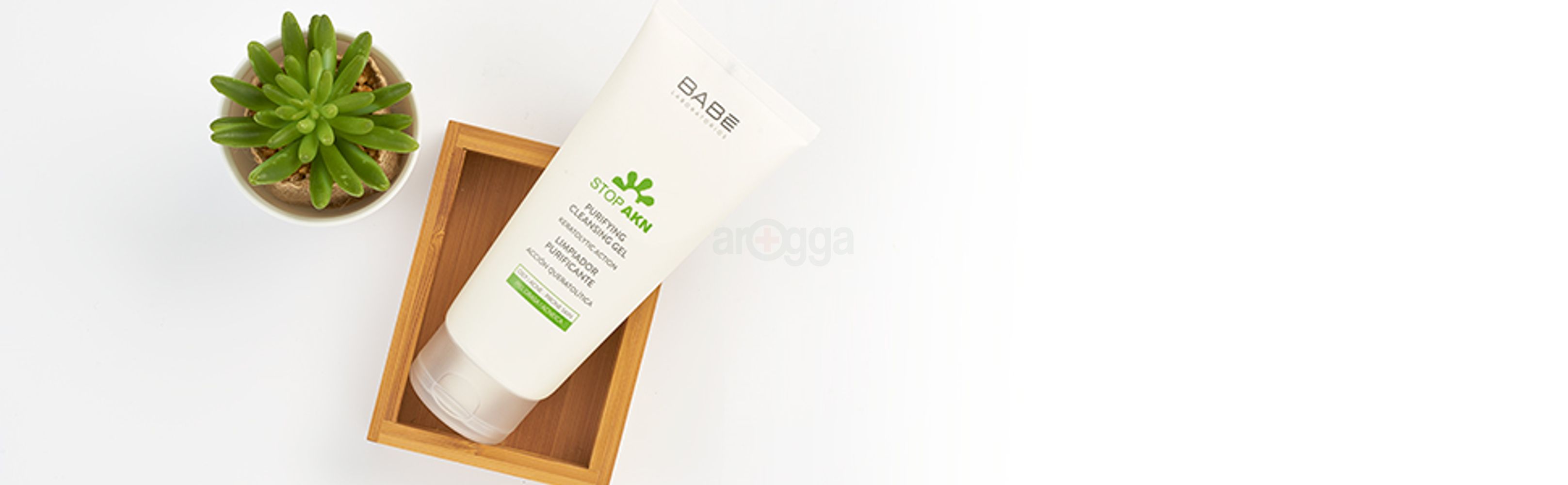 Art image cleanser purifies baby labs