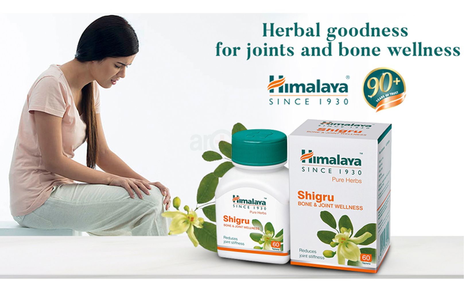Himalaya Wellness Pure Herbs Shigru Bone & Joint Wellness