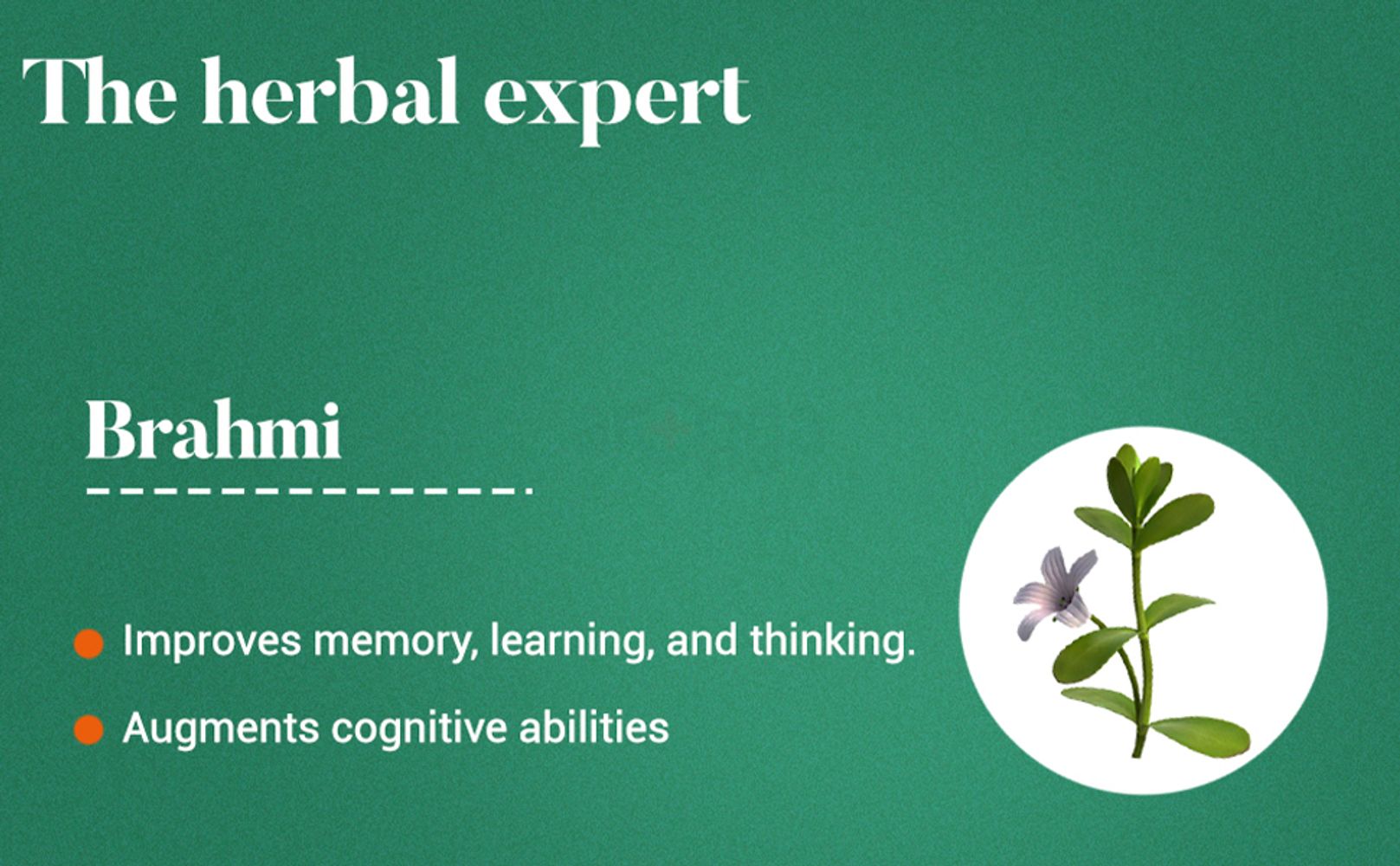 Himalaya Wellness Pure Herbs Brahmi Mind Wellness