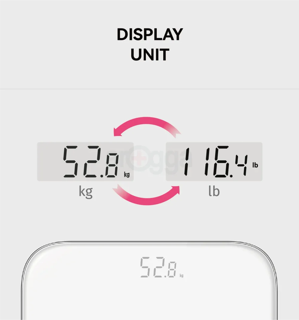 JPD-BS200 Weight Scale unit