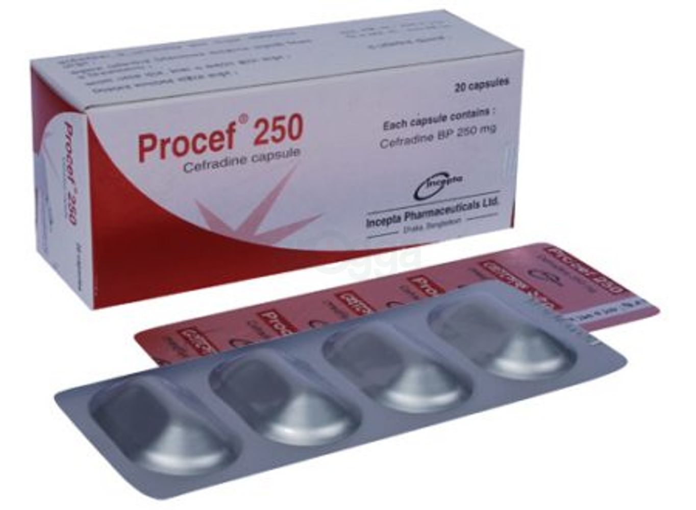 Procef 250 price in Bangladesh | Arogga Online Pharmacy