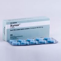 Xynor 500mg Tablet