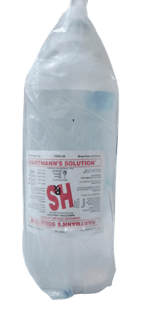  HS (Hartmann's) 1000ml (OSL) 100ml Infusion
