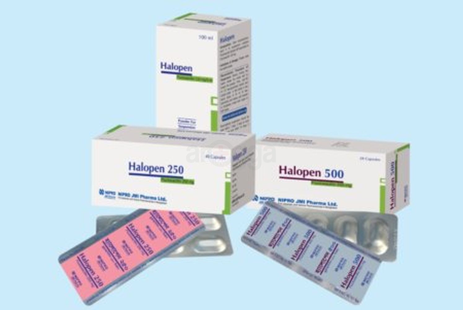 Halopen 500mg Capsule - Arogga Online Pharmacy